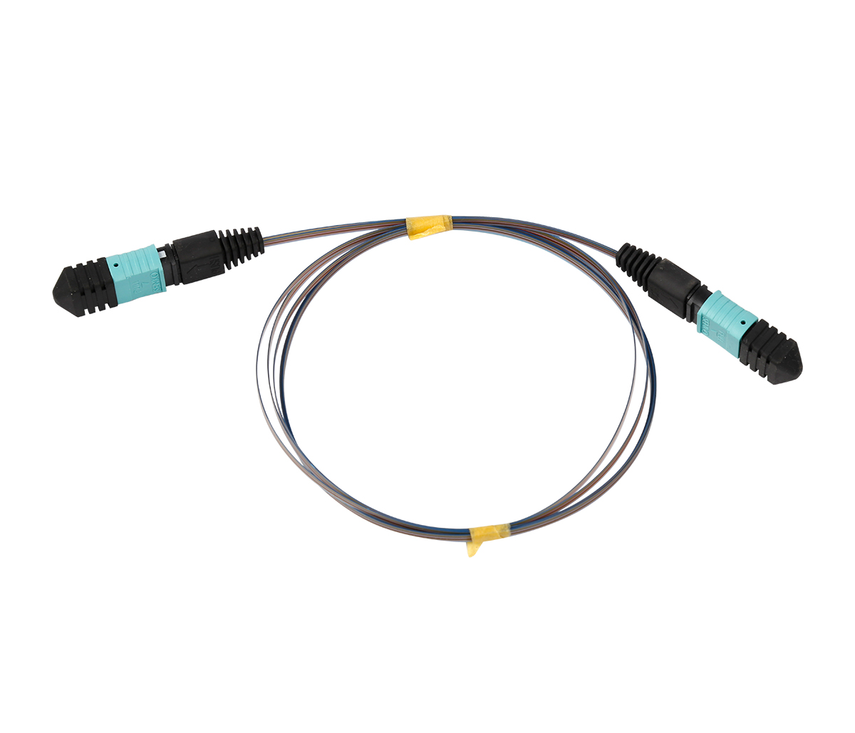 MPO-MPO 12F Optic Patch Cord