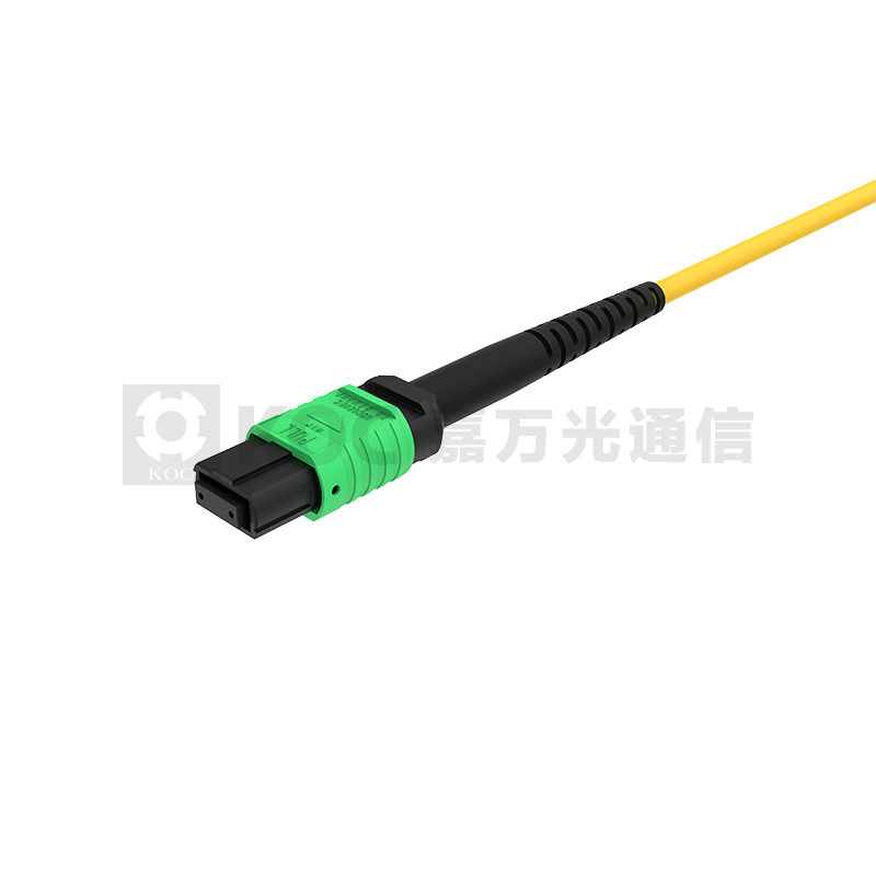 MPO Connector