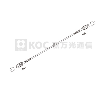 MTP/MPO Polarity Instruction