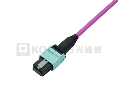MPO Polarity Changeable Patch-Cord
