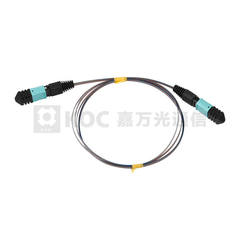 MPO Ribbon Bare Fiber  Patch Cord