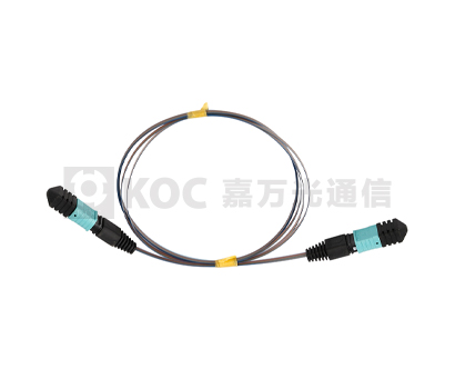 MPO Ribbon Bare Fiber  Patch Cord