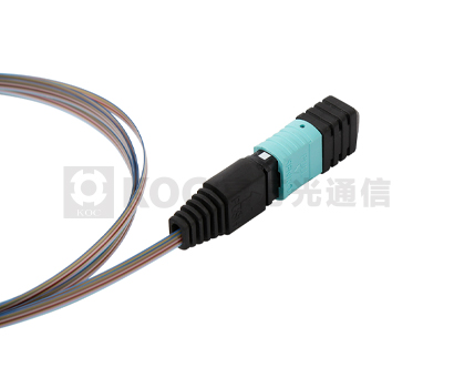 MPO Ribbon Bare Fiber  Pigtail