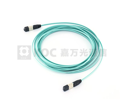 MPO Ribbon Cable  Patch Cord
